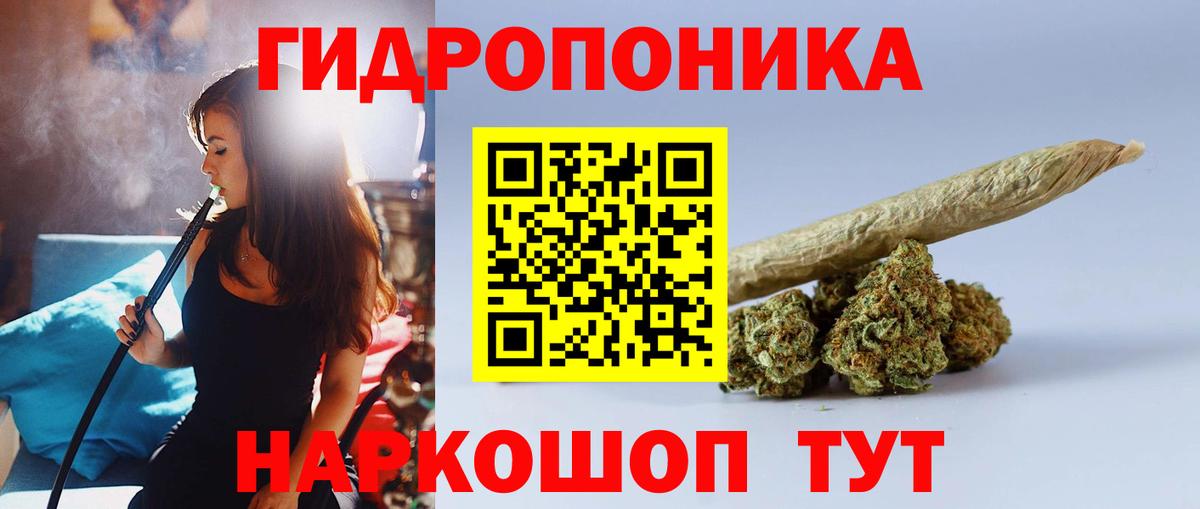 Конопля гибрид Тимашёвск
